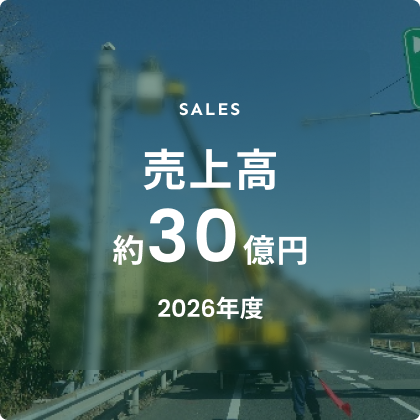 売上高約31億円